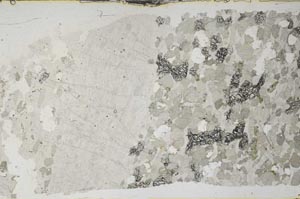 Plane Polarized, S62096