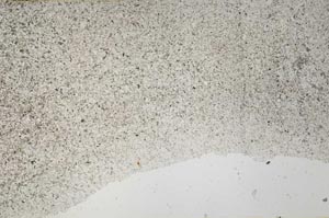 Plane Polarized, S62164
