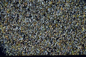 Cross Polarized, S62173