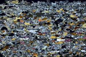 Cross Polarized, S62174