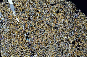 Cross Polarized, S62176