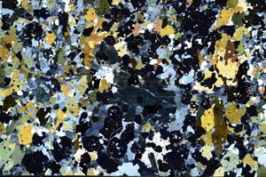 Cross Polarized, S62190