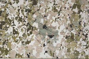 Plane Polarized, S62190