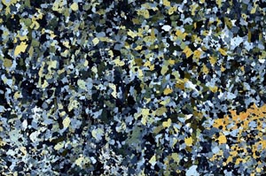 Cross Polarized, S62192