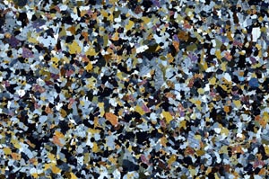 Cross Polarized, S62193