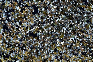 Cross Polarized, S62195