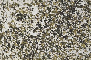 Plane Polarized, S62195