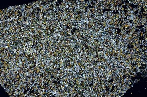 Cross Polarized, S62196