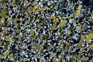 Cross Polarized, S62197