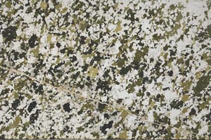 Plane Polarized, S62197