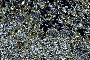Cross Polarized, S62198