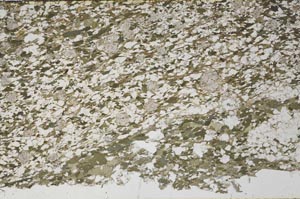 Plane Polarized, S62205