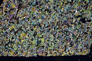 Cross Polarized, S62206