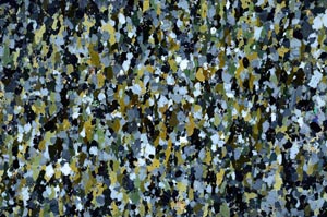 Cross Polarized, S62208