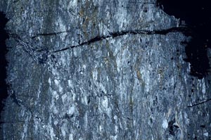 Cross Polarized, S62227