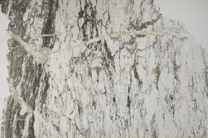 Plane Polarized, S62227