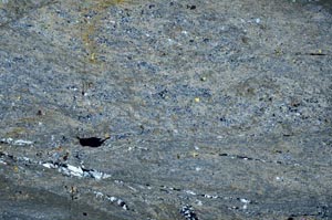 Cross Polarized, S62228