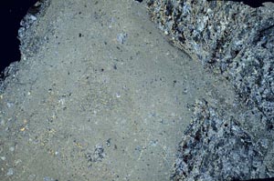 Cross Polarized, S62229