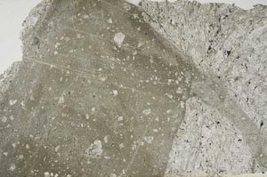 Plane Polarized, S62229