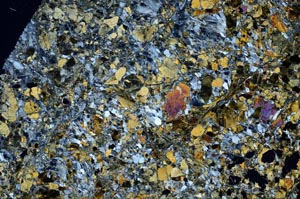 Cross Polarized, S62231