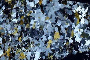 Cross Polarized, S62244