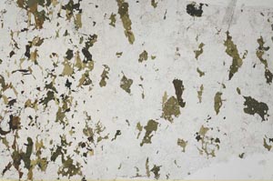 Plane Polarized, S62244