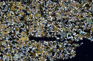 Cross Polarized, S62245