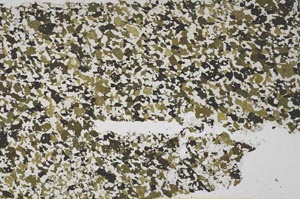 Plane Polarized, S62245