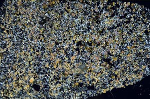 Cross Polarized, S62279