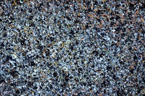 Cross Polarized, S62280