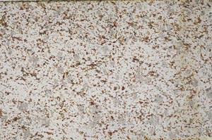 Plane Polarized, S62280