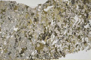 Plane Polarized, S62281