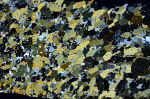 Cross Polarized, S62283