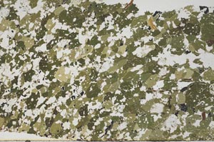 Plane Polarized, S62283