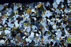 Cross Polarized, S62300