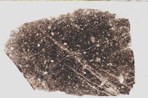 Plane Polarized, S62331