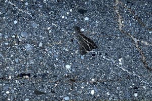 Cross Polarized, S62391