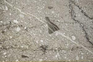 Plane Polarized, S62391