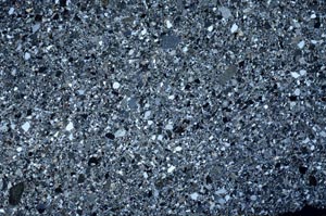 Cross Polarized, S62392