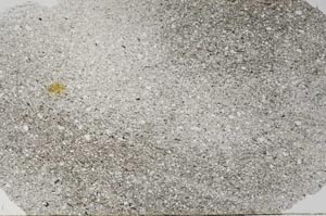 Plane Polarized, S62394