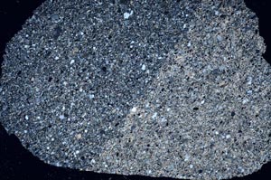 Cross Polarized, S62397