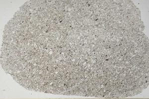 Plane Polarized, S62397