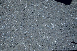 Cross Polarized, S62400