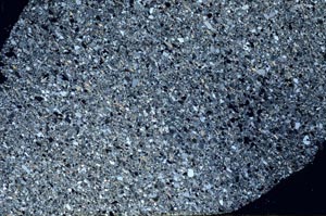 Cross Polarized, S62401