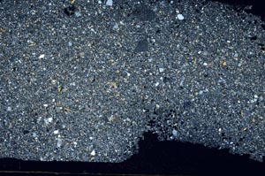 Cross Polarized, S62405