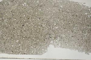 Plane Polarized, S62405