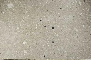 Plane Polarized, S62406