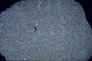 Cross Polarized, S62407