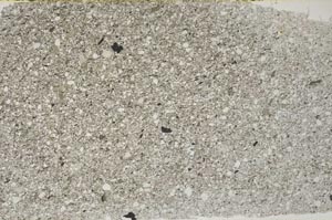 Plane Polarized, S62408