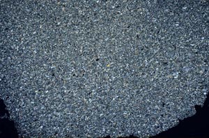 Cross Polarized, S62422